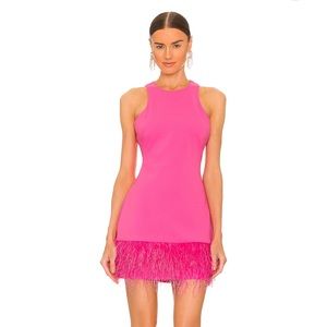LIKELY CAMI DRESS- pink feathers size 6